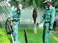 2013廣西第十二屆人大政協(xié)兩會(huì)接待用車消毒